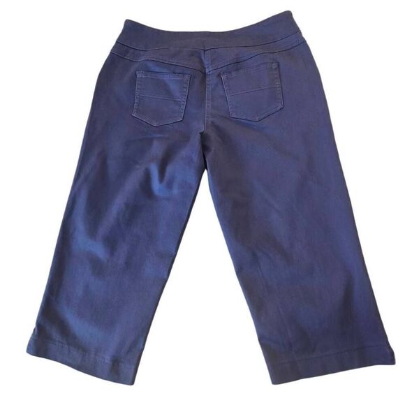 NWOT Westbound Women's Blue Stretchy High Rise Capri Pull On Pants Size 10 - Picture 3 of 10